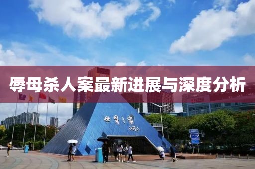 辱母杀人案最新进展与深度分析