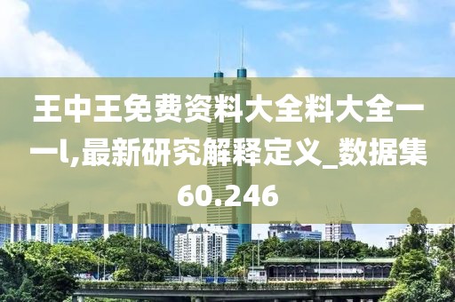 王中王免费资料大全料大全一一l,最新研究解释定义_数据集60.246