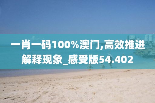 一肖一码100%澳门,高效推进解释现象_感受版54.402