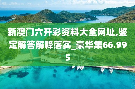 新澳门六开彩资料大全网址,鉴定解答解释落实_豪华集66.995