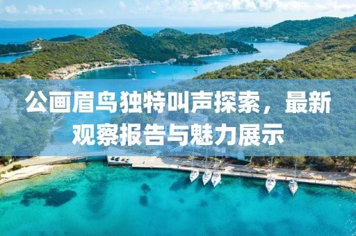 公画眉鸟独特叫声探索，最新观察报告与魅力展示