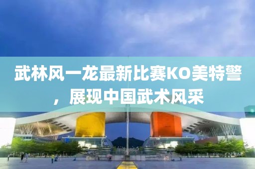 武林风一龙最新比赛KO美特警，展现中国武术风采