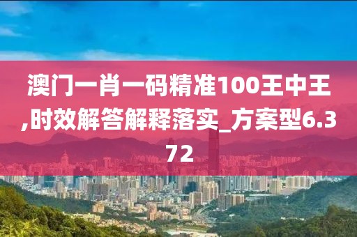 澳门一肖一码精准100王中王,时效解答解释落实_方案型6.372