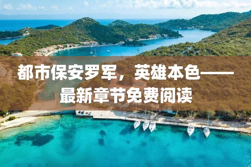 都市保安罗军，英雄本色——最新章节免费阅读