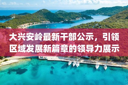 大兴安岭最新干部公示，引领区域发展新篇章的领导力展示