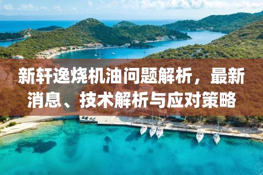 新轩逸烧机油问题解析，最新消息、技术解析与应对策略