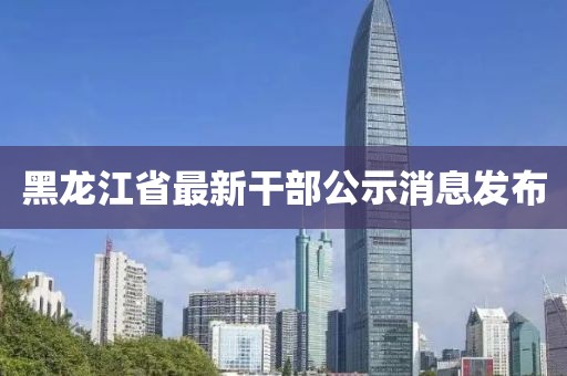 黑龙江省最新干部公示消息发布