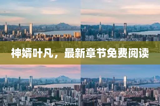 神婿叶凡，最新章节免费阅读