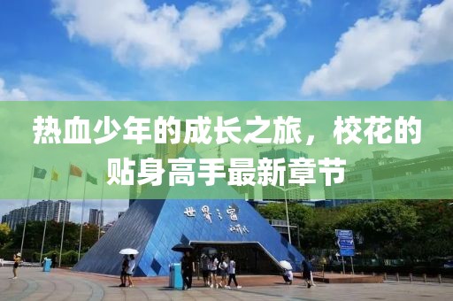 热血少年的成长之旅，校花的贴身高手最新章节