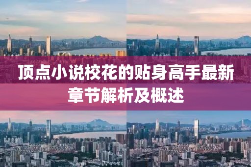 顶点小说校花的贴身高手最新章节解析及概述