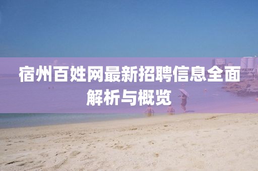 宿州百姓网最新招聘信息全面解析与概览