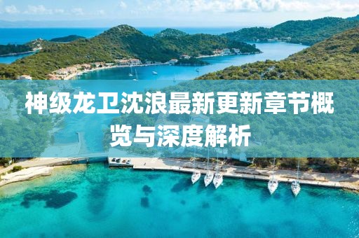 神级龙卫沈浪最新更新章节概览与深度解析