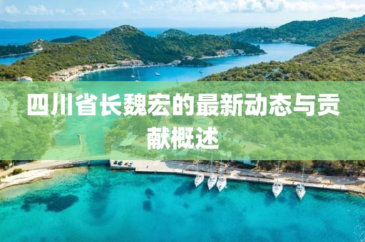 四川省长魏宏的最新动态与贡献概述