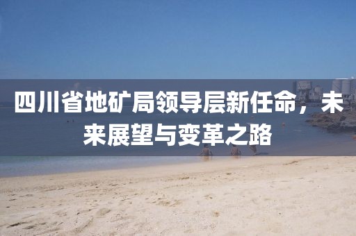 四川省地矿局领导层新任命，未来展望与变革之路
