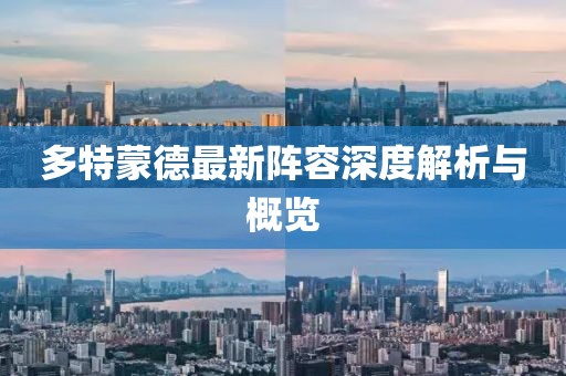多特蒙德最新阵容深度解析与概览