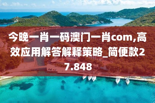 今晚一肖一码澳门一肖com,高效应用解答解释策略_简便款27.848