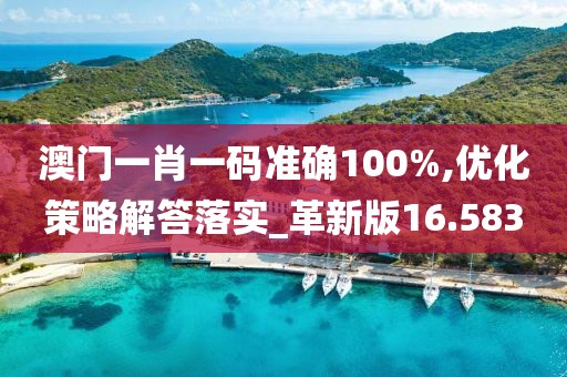 澳门一肖一码准确100%,优化策略解答落实_革新版16.583