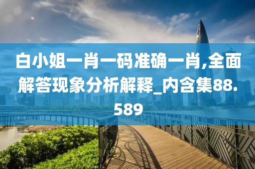 白小姐一肖一码准确一肖,全面解答现象分析解释_内含集88.589