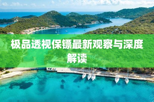 极品透视保镖最新观察与深度解读