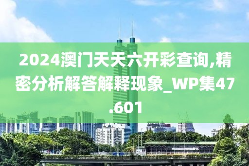 2024澳门天天六开彩查询,精密分析解答解释现象_WP集47.601