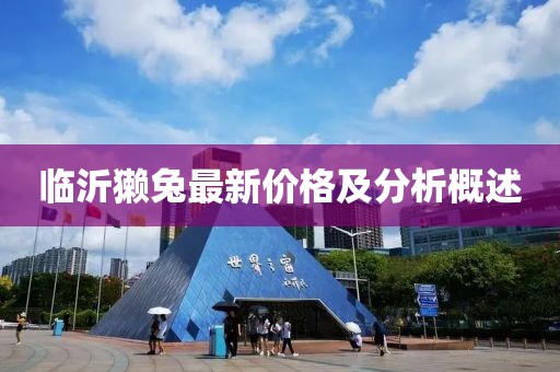 临沂獭兔最新价格及分析概述