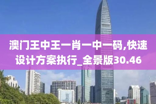 澳门王中王一肖一中一码,快速设计方案执行_全景版30.46