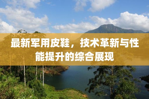 最新军用皮鞋，技术革新与性能提升的综合展现