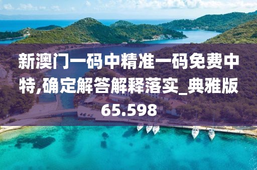 新澳门一码中精准一码免费中特,确定解答解释落实_典雅版65.598