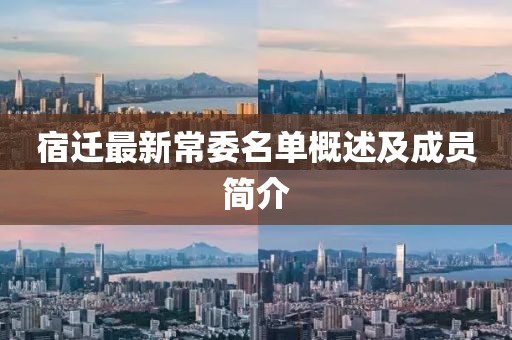 宿迁最新常委名单概述及成员简介