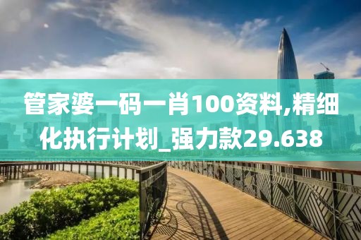 管家婆一码一肖100资料,精细化执行计划_强力款29.638