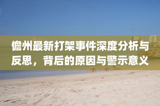 儋州最新打架事件深度分析与反思，背后的原因与警示意义
