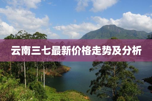 云南三七最新价格走势及分析