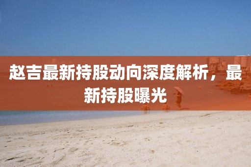 赵吉最新持股动向深度解析，最新持股曝光