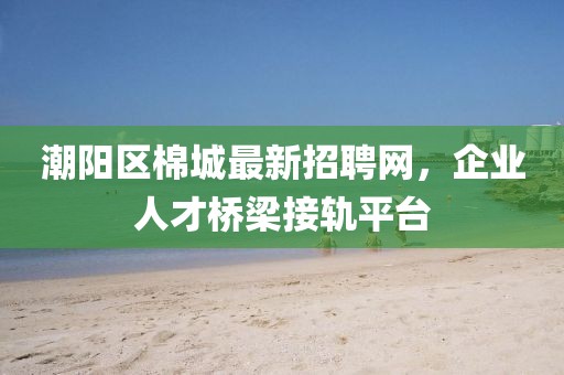 潮阳区棉城最新招聘网，企业人才桥梁接轨平台