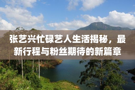 张艺兴忙碌艺人生活揭秘，最新行程与粉丝期待的新篇章