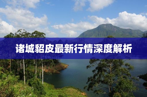 诸城貂皮最新行情深度解析