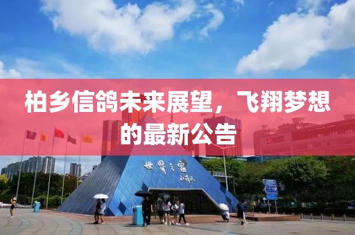 柏乡信鸽未来展望，飞翔梦想的最新公告