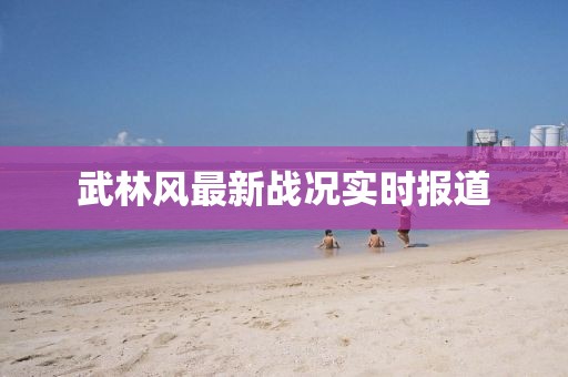 森蝶女汉子 第20页