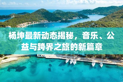 杨坤最新动态揭秘，音乐、公益与跨界之旅的新篇章