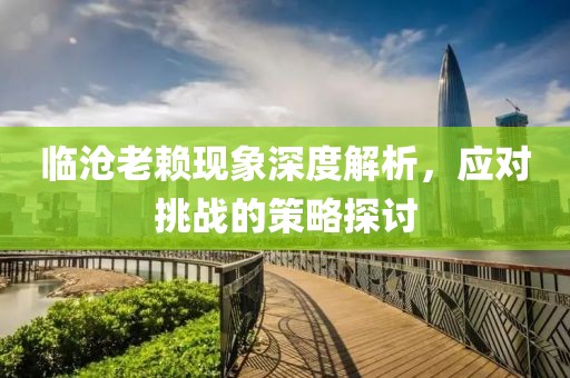 临沧老赖现象深度解析，应对挑战的策略探讨