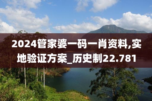 2024管家婆一码一肖资料,实地验证方案_历史制22.781