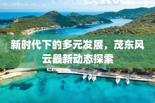 新时代下的多元发展，茂东风云最新动态探索