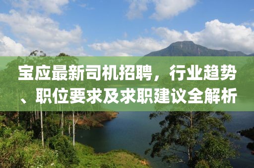 宝应最新司机招聘，行业趋势、职位要求及求职建议全解析