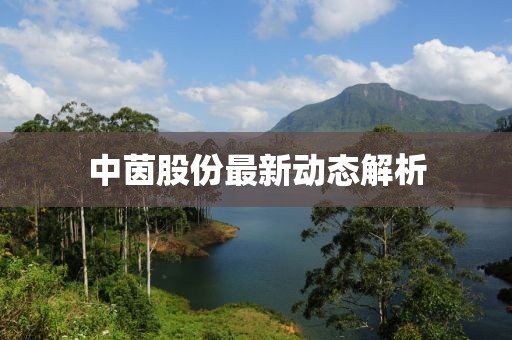 南怀瑾 第17页