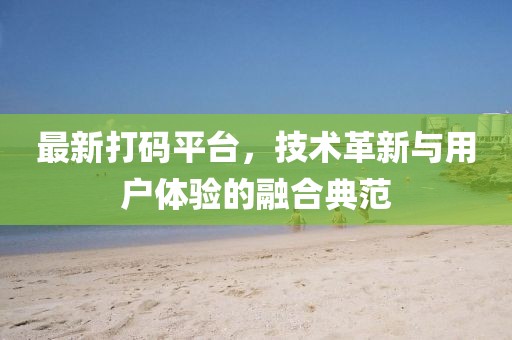 最新打码平台，技术革新与用户体验的融合典范