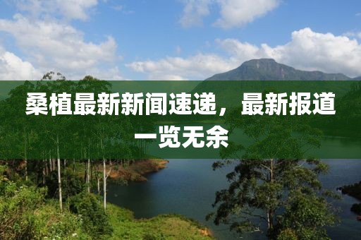 桑植最新新闻速递，最新报道一览无余