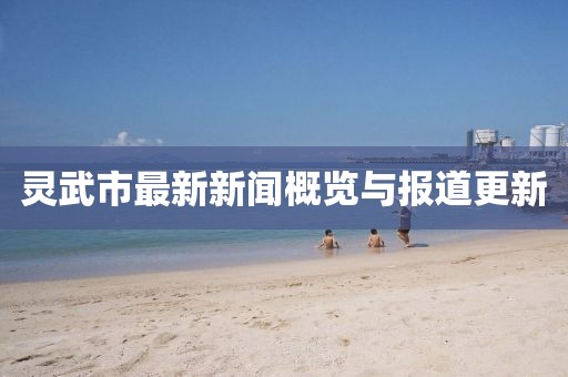 灵武市最新新闻概览与报道更新