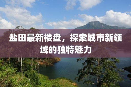 盐田最新楼盘，探索城市新领域的独特魅力