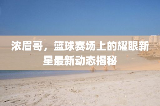 浓眉哥，篮球赛场上的耀眼新星最新动态揭秘