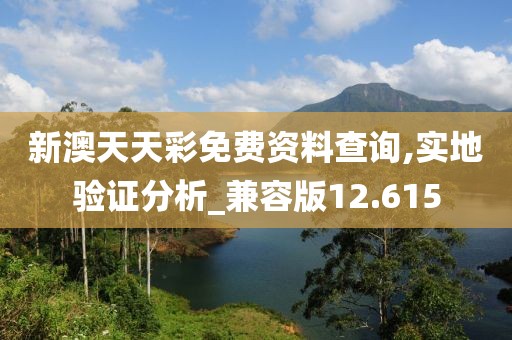 新澳天天彩免费资料查询,实地验证分析_兼容版12.615